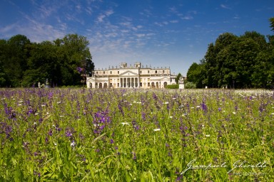 2015-05-08_Villa_Pisani_Stra-7795.jpg