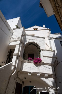 2021-09-14---Puglia-9064.jpg