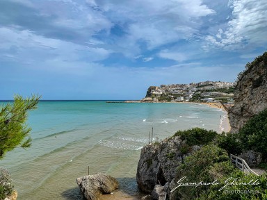 2021-09-17---Puglia-Ant-4071.jpg