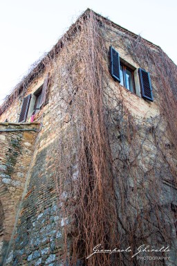 2017-01-08_San-Gimignano-0541.jpg