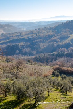 2017-01-08_San-Gimignano-0635.jpg