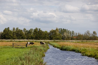 2023-08-15_Amsterdam-3462.jpg