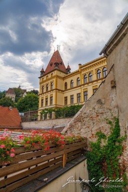 2024-08-17_Sighișoara-1198.jpg