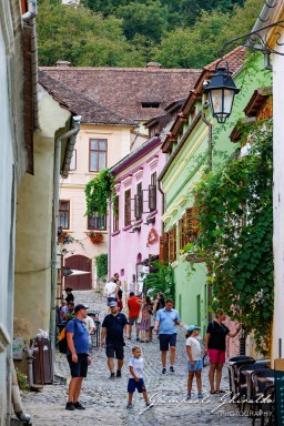 2024-08-17_Sighișoara-1209.jpg