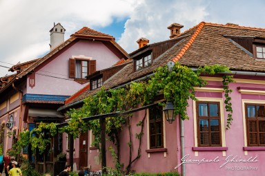 2024-08-17_Sighișoara-1214.jpg