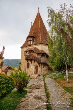 2024-08-17_Sighișoara-1241.jpg