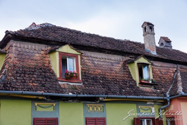 2024-08-17_Sighișoara-1242.jpg