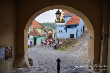 2024-08-17_Sighișoara-1257.jpg