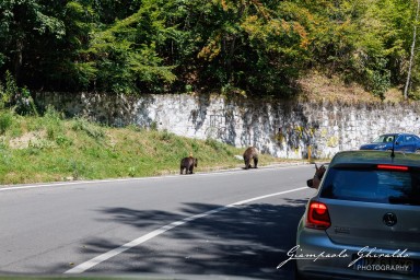 2024-08-19_Transfăgărășan-1414.jpg