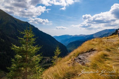 2024-08-19_Transfăgărășan-1442.jpg