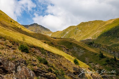 2024-08-19_Transfăgărășan-1451.jpg