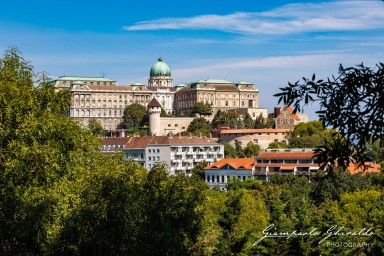 2024-08-13_Budapest-0418.jpg