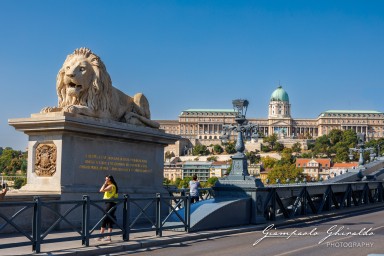 2024-08-14_Budapest-0746.jpg