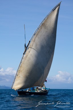 20120806_Madagascar_2753.jpg