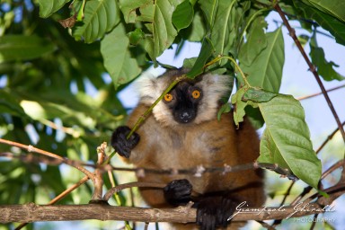 20120806_Madagascar_2877.jpg