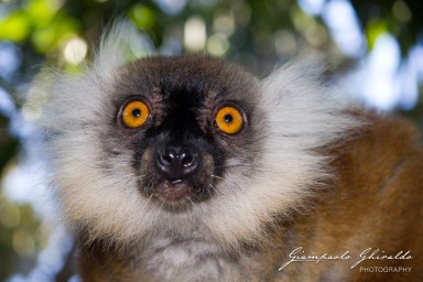 20120806_Madagascar_2881.jpg