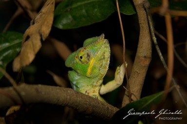 20120806_Madagascar_2906.jpg