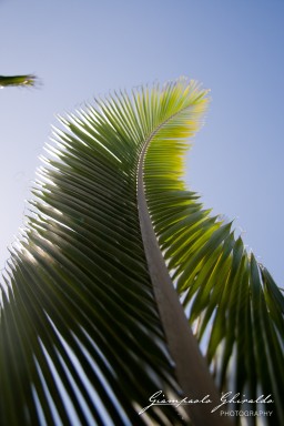 20101004_Mauritius_090.jpg