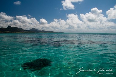 20101004_Mauritius_339.jpg