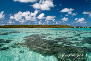 20101004_Mauritius_344.jpg