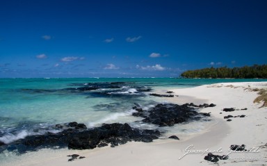 20101004_Mauritius_432.jpg