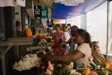 20101004_Mauritius_546.jpg