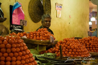 20101004_Mauritius_561.jpg