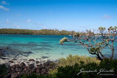 20101004_Mauritius_613.jpg