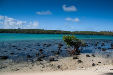 20101004_Mauritius_625.jpg