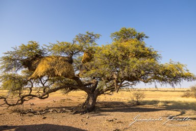 2022-09-13_Namibia_Gia-9831.jpg