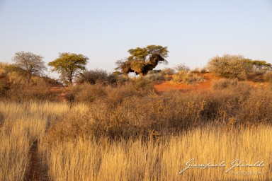 2022-09-13_Namibia_Gia-9904.jpg