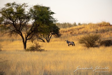 2022-09-13_Namibia_Gia-9913.jpg