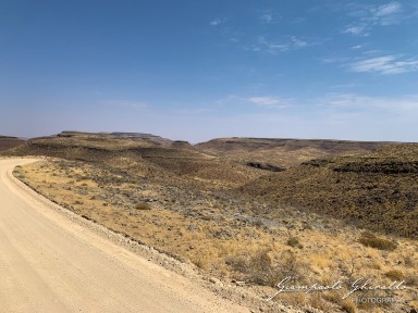 2022-09-14_Namibia_Ant-4653.jpg