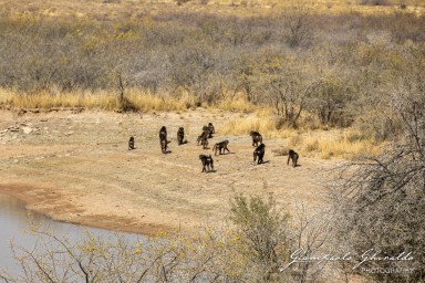 2022-09-14_Namibia_Gia-9987.jpg