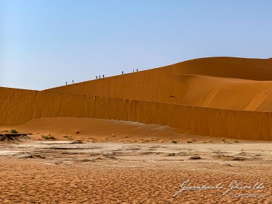 2022-09-15_Namibia_Ant-4707.jpg