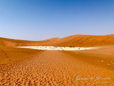 2022-09-15_Namibia_Ant-4708.jpg