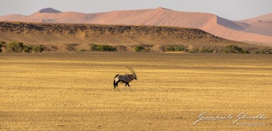 2022-09-15_Namibia_Gia-0072.jpg