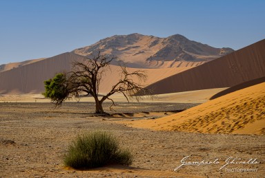 2022-09-15_Namibia_Gia-0097b.jpg