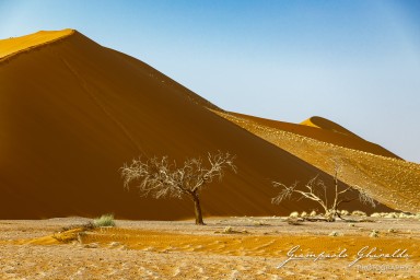 2022-09-15_Namibia_Gia-0106.jpg