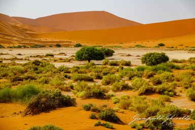 2022-09-15_Namibia_Gia-0140.jpg