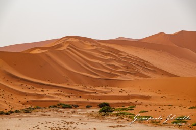 2022-09-15_Namibia_Gia-0161.jpg