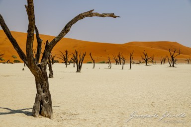 2022-09-15_Namibia_Gia-0196.jpg