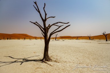 2022-09-15_Namibia_Gia-0203.jpg