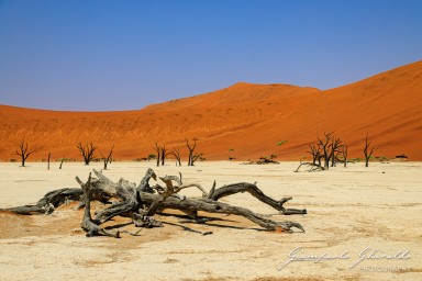 2022-09-15_Namibia_Gia-0214.jpg