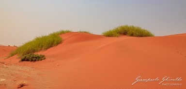 2022-09-15_Namibia_Gia-0228.jpg