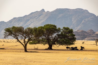 2022-09-15_Namibia_Gia-0274.jpg