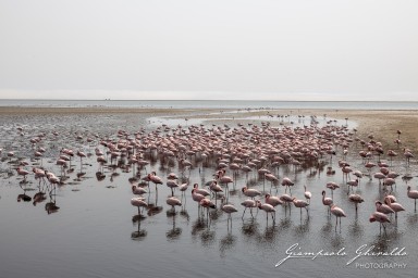 2022-09-16_Namibia_Gia-0360.jpg