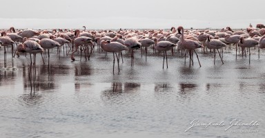 2022-09-16_Namibia_Gia-0374.jpg