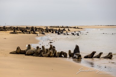 2022-09-17_Namibia_Gia-0536.jpg