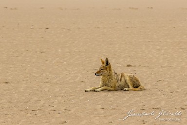 2022-09-17_Namibia_Gia-0553.jpg